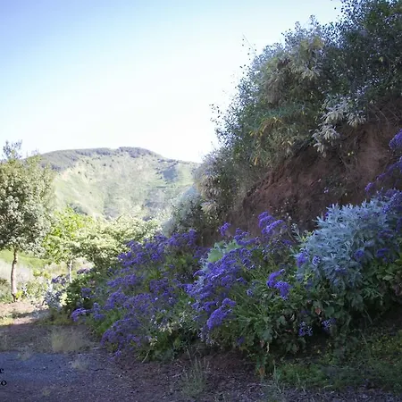 Cuevas De Barreto * Firgas