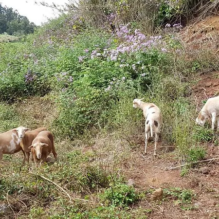 Casa rural Cuevas De Barreto
