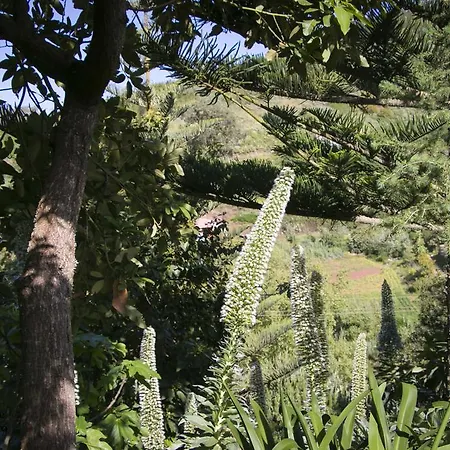 Country house Cuevas De Barreto Firgas