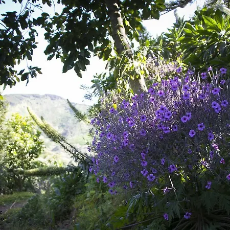 Cuevas De Barreto Country house