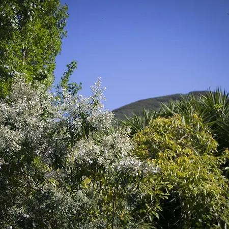 Cuevas De Barreto Firgas