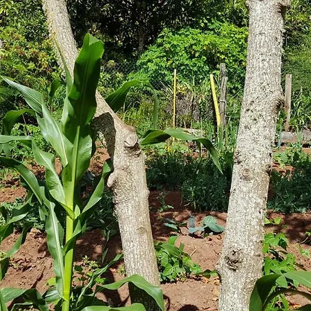 Cuevas De Barreto