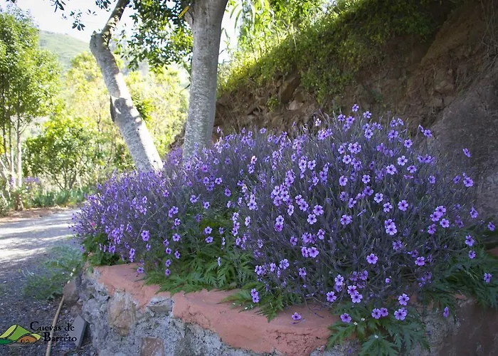 Cuevas De Barreto *