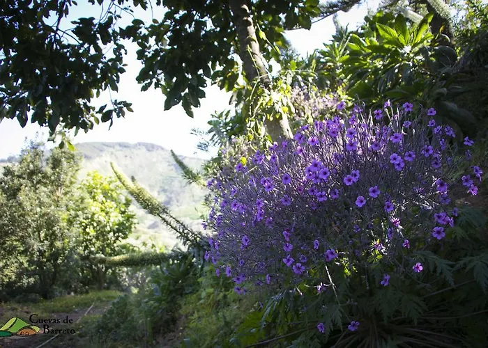 Cuevas De Barreto カントリーハウス