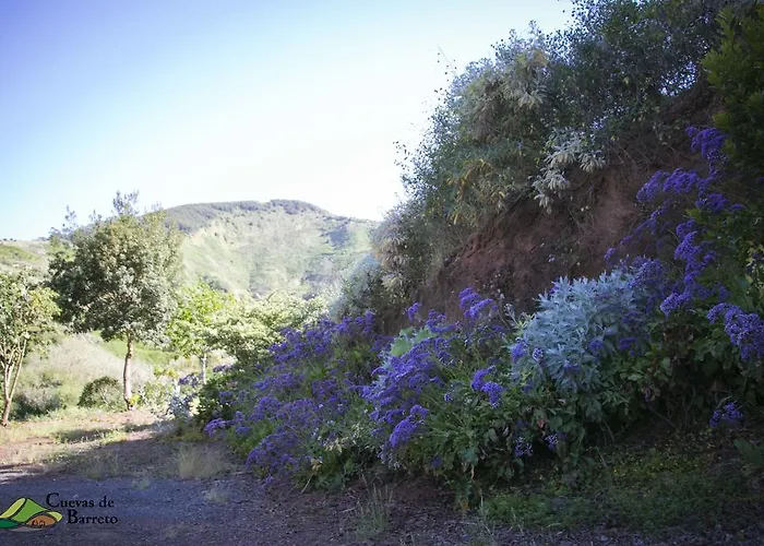 Cuevas De Barreto * Firgas
