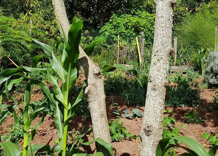 Cuevas De Barreto