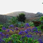 Cuevas De Barreto Landsted Firgas