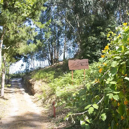 בית כפרי Cuevas De Barreto *