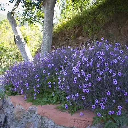 Cuevas De Barreto *